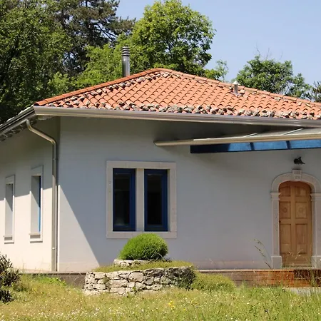 Appartamento Dandelion Branik