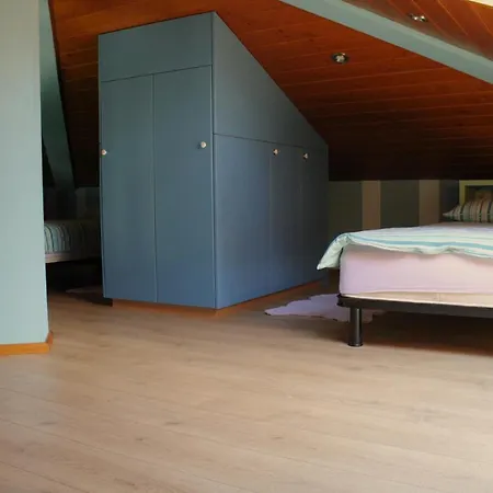 Daire Dandelion Branik