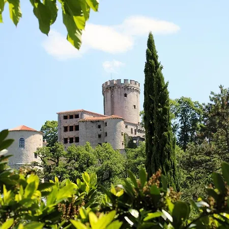 Dandelion Daire Branik