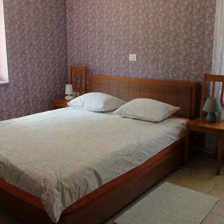 Apartment Dandelion Branik