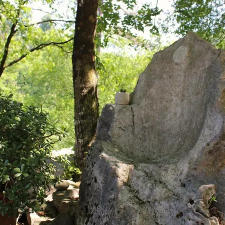 Apartment Dandelion *