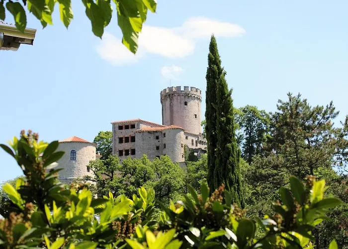 Dandelion Apartma Branik