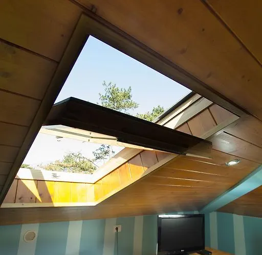 Appartamento Dandelion *